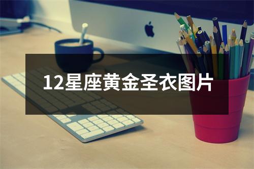 12星座黃金圣衣圖片